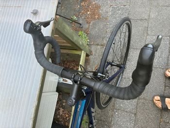 Brugt Trek Domane AL 2 2024 2024 Road & Gravel — billede 2 af 8