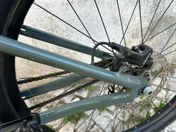 Used Commencal ABSOLUT 2025 2025 Mountainbike, Green, 26 — image 5 of 9