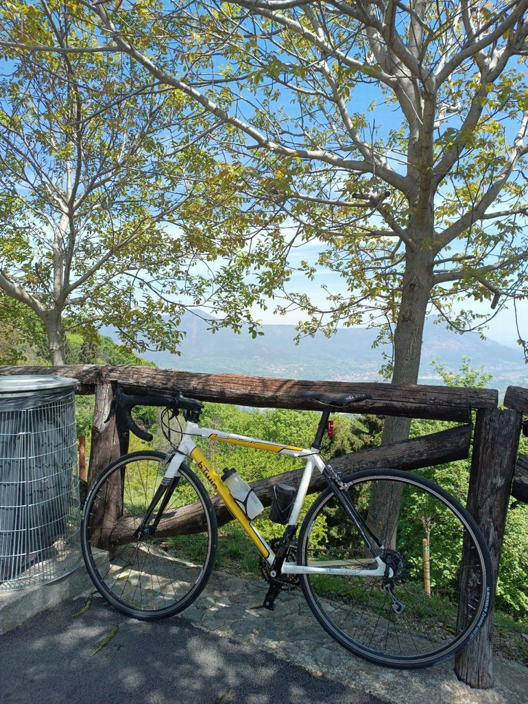 Used B Twin Triban Campagnolo Ekar 2006 Road & Gravel, White — image 2 of 4