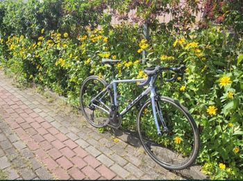 Brugt Fuji Finest 2.1 2019 2019 Road & Gravel — billede 3 af 3