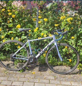 Used Fuji Finest 2.1 2019 2019 Road & Gravel