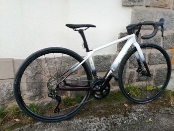 Brugt Elves Avari Pro Disc 2026 Road & Gravel