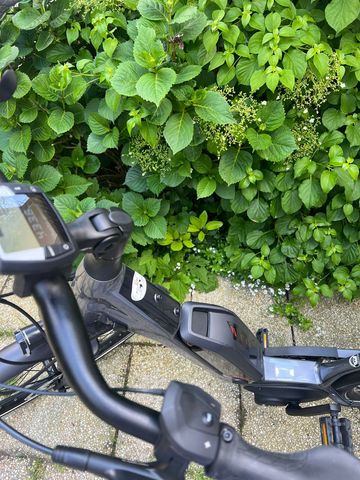 Used Centurion E-Fire Other Shimano 2020 Urban, Black — image 12 of 21
