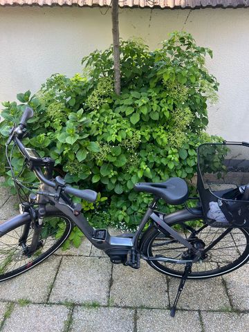 Used Centurion E-Fire Other Shimano 2020 Urban, Black — image 2 of 21