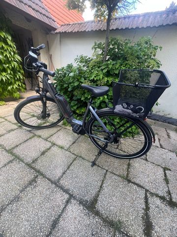 Used Centurion E-Fire Other Shimano 2020 Urban, Black — image 14 of 21
