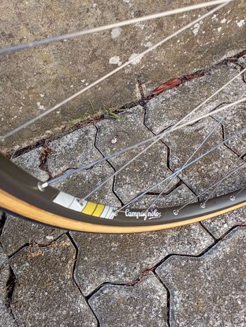 Colnago Master Other Campagnolo 1985 Road & Gravel d'occasion — image 5 sur 14