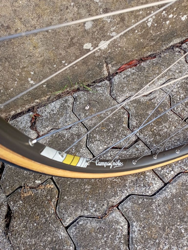 Colnago Master Other Campagnolo 1985 Road & Gravel d'occasion — image 5 sur 14