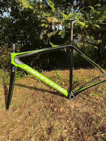 Used cannondale evo HI MOD Team Frameset 2020 Road & Gravel, Green — image 8 of 13