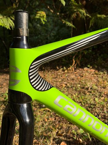 Used cannondale evo HI MOD Team Frameset 2020 Road & Gravel, Green — image 5 of 13