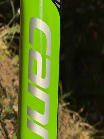 Used cannondale evo HI MOD Team Frameset 2020 Road & Gravel, Green — image 7 of 13