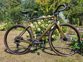Cervélo Aspero Apex 11G 58M 2020 Road & Gravel usato