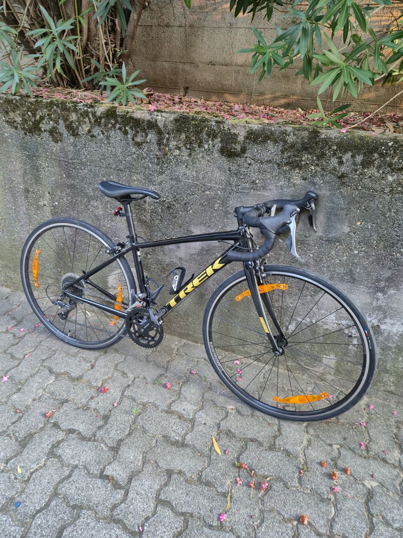 Trek Domane AL 2 2023 2023 Road & Gravel usato