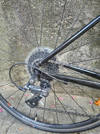 Brugt Trek Domane AL 2 2023 2023 Road & Gravel — billede 4 af 6