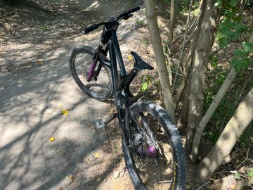 Used Canyon Sender CF 7.0 2019 2019 Mountainbike, Black — image 5 of 5