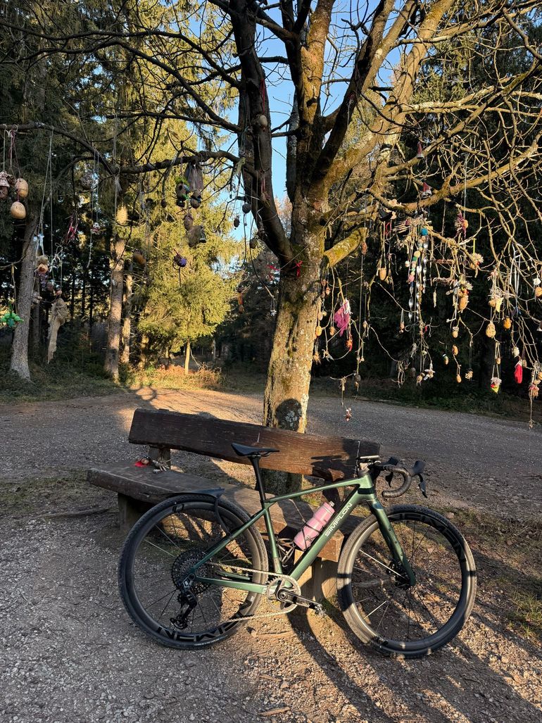 Used Simplon Grid Ultimate 2026 2026 Road & Gravel, Green — image 2 of 8
