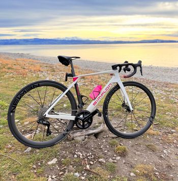 Used Simplon Pavo 4 Shimano Dura Ace DI2 2024 2024 Road & Gravel