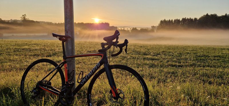 Used Specialized Roubaix Expert 2017 2017 Road & Gravel, Red — image 2 of 3