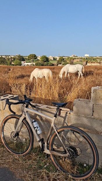 Brugt Megamo WEST 10 2023 2023 Road & Gravel — billede 9 af 9