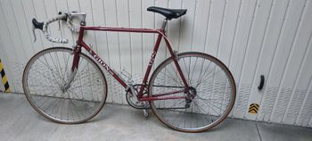 Used Gion Custom Campagnolo Record 1980 Road & Gravel