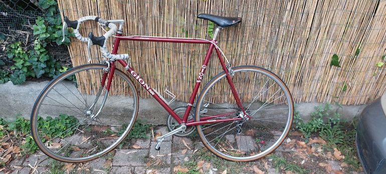 Used Gion Custom Campagnolo Record 1980 Road & Gravel, Red — image 4 of 12