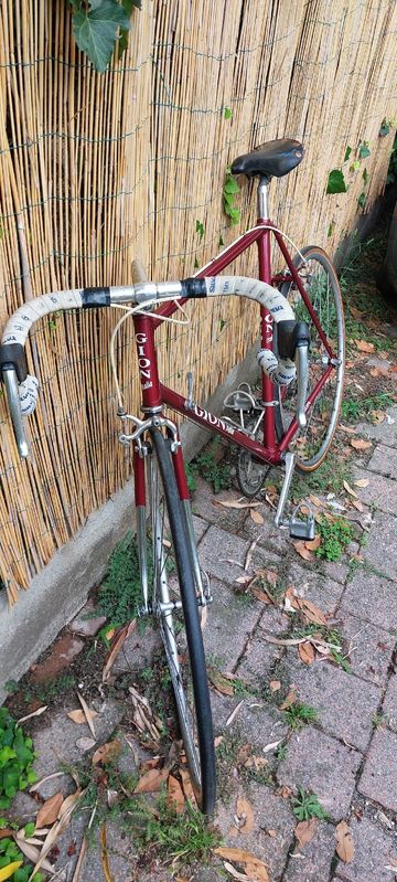 Brugt Gion Custom Campagnolo Record 1980 Road & Gravel — billede 3 af 12