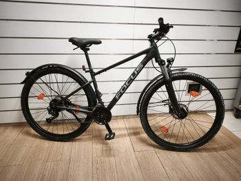 Used Focus WHISTLER 3.6 EQP 2022 2022 Urban & Touring