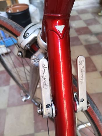 Wilier Custom Campagnolo Record 1990 Road & Gravel d'occasion — image 6 sur 6