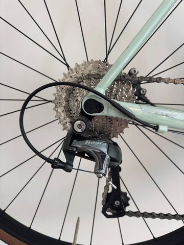 Used Canyon Endurace 6 2023 2023 Road & Gravel, Green — image 7 of 7