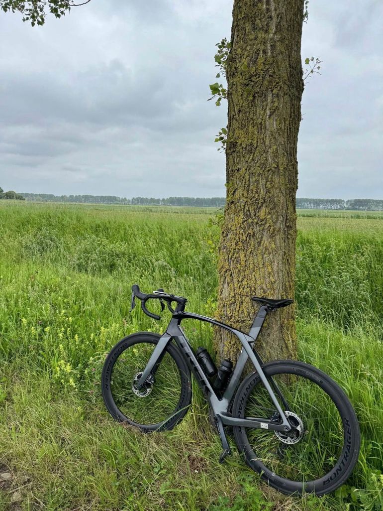 Brugt Trek Madone SL 6 2022 2022 Road & Gravel — billede 3 af 3