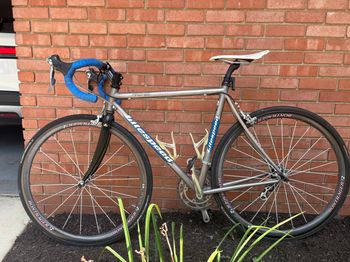 Used Litespeed Firenze Titanium 2006 Road & Gravel