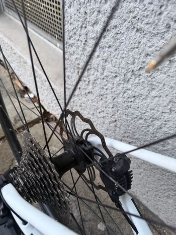 Used Bigrock Custom Shimano GRX Di2 2026 Road & Gravel, White — image 17 of 26