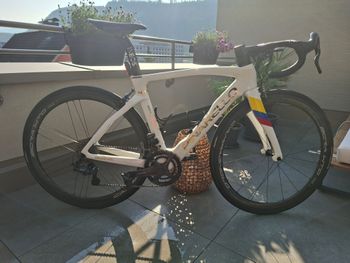 Gebrauchtes Pinarello Dogma F Campagnolo Super Record EPS 2023 Road & Gravel