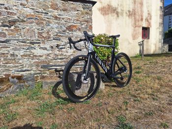 Brugt Canyon Aeroad CF SL Disc 8.0 2020 2020 Road & Gravel — billede 2 af 9