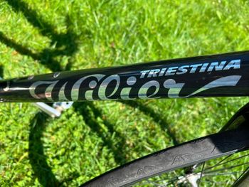 Brugt Wilier Le Roi 2003 Urban — billede 7 af 10