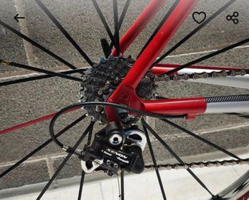 Gebrauchtes Olmo Custom Campagnolo Record 2016 Road & Gravel, Hellgrau — Bild 4 von 4