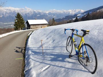 Used Colnago Dream Plus 2004 Road & Gravel, Blue — image 3 of 3