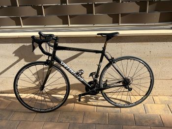 Specialized Roubaix Shimano 105 2014 Road & Gravel usato