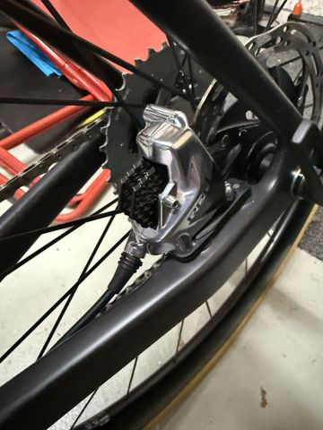 Brugt Canyon Endurace CFR AXS 2024 2024 Road & Gravel — billede 28 af 36