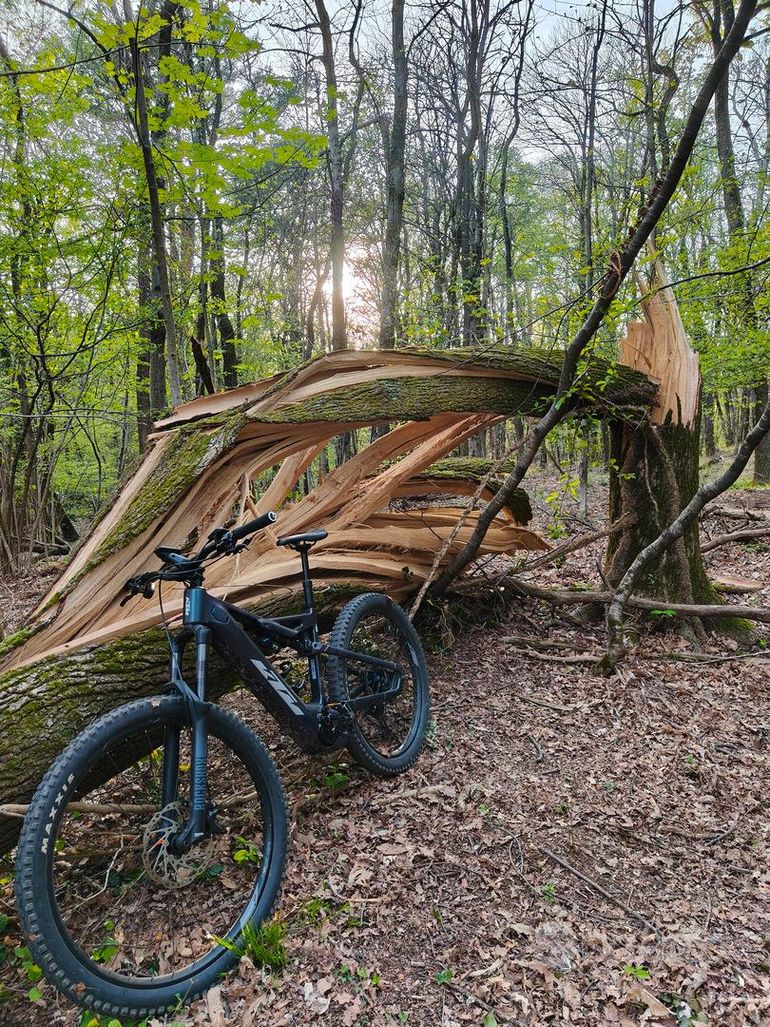 Brugt KTM MACINA KAPOHO ELITE 2023 2023 Mountainbike — billede 3 af 5