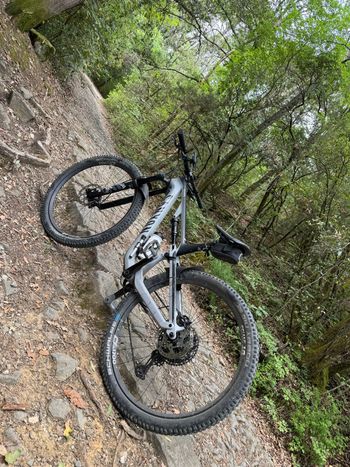 Tweedehands Canyon Neuron CF 8 2023 2023 Mountainbike — afbeelding 3 van 3