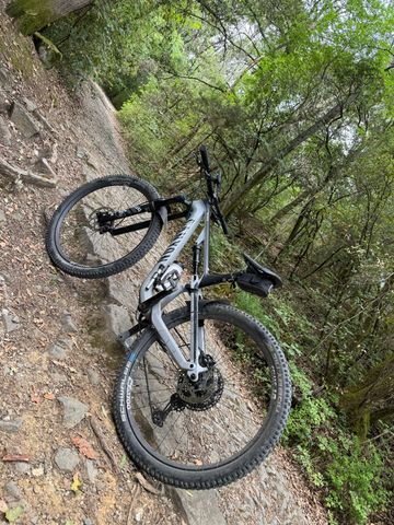 Used Canyon Neuron CF 8 2023 2023 Mountainbike, Light Gray — image 3 of 10