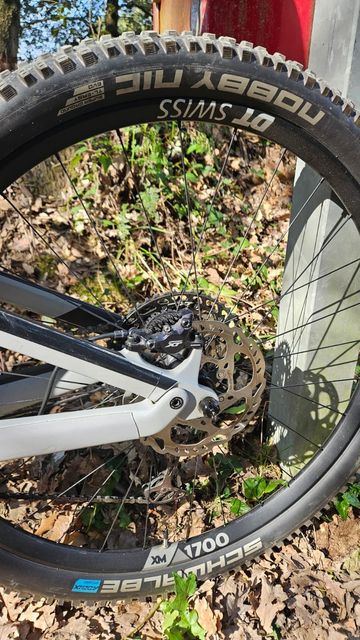 Used Canyon Neuron CF 8 2023 2023 Mountainbike, Light Gray — image 8 of 10
