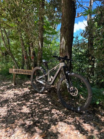 Gebrauchtes Canyon Neuron CF 8 2023 2023 MTB