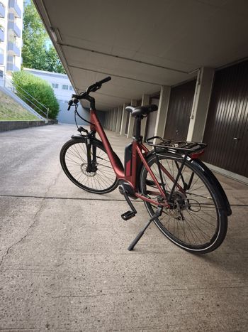 Używany Staiger Custom 2023 Urban — zdjęcie 2 z 3