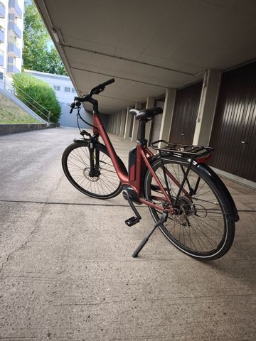 Used Staiger Custom 2023 Urban, Red — image 2 of 3