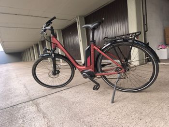 Używany Staiger Custom 2023 Urban & Touring