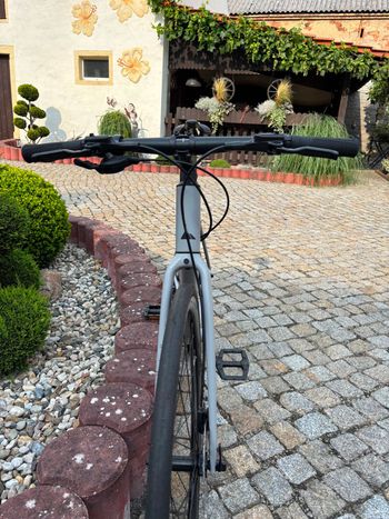 Brugt Canyon Roadlite 6 WMN 2023 2023 Urban — billede 7 af 9