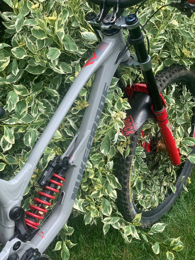 Used Nukeproof Dissent 290 Frame Only 2022 Frameset 2022 Mountainbike, Light Gray, 29 — image 5 of 9