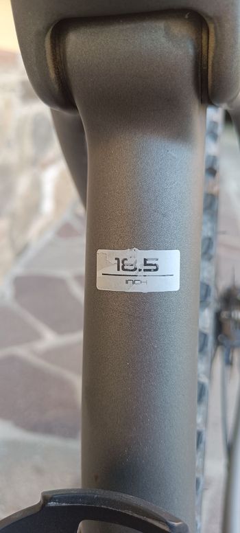 Used Trek Procaliber Shimano XTR 2021 Mountainbike, Light Gray — image 4 of 13