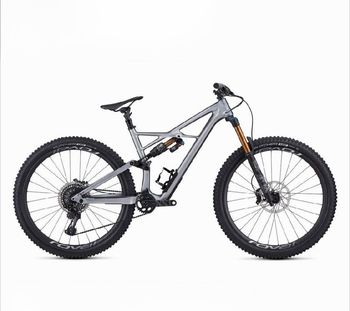 Used Specialized S-Works Enduro 29 2019 2019 MTB